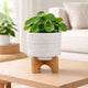 Jeny Flower Planter Pot on Wood Stand | White Tribal Ceramic | 5"