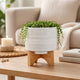 Jeny Flower Planter Pot on Wood Stand | White Tribal Ceramic | 5"
