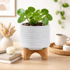 Jeny Flower Planter Pot on Wood Stand | White Textured Ceramic 8"