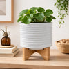 Jeny Flower Planter Pot on Wood Stand | White Textured Ceramic 8"