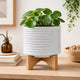 Jeny Flower Planter Pot on Wood Stand | White Textured Ceramic 8"