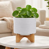 Jeny Flower Planter Pot on Wood Stand | White Textured Ceramic 8"