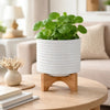 Jeny Flower Planter Pot on Wood Stand | White Textured Ceramic 8"