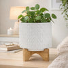 Jeny Flower Planter Pot on Wood Stand | White Diamond Ceramic 8"