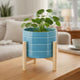Indoor Outdoor Flower Planter | Wood Stand | Sky Blue Striped Ceramic 8"