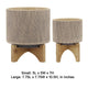Feny Flower Planter on Stand Set of 2 | Tan Brown Mesh Ceramic 5/8"