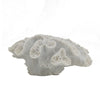 Decorative Coral Sculpture Tabletop Decor | 9" White Polyresin