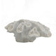 Decorative Coral Sculpture Tabletop Decor | 9" White Polyresin