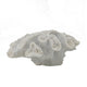 Decorative Coral Sculpture Tabletop Decor | 9" White Polyresin