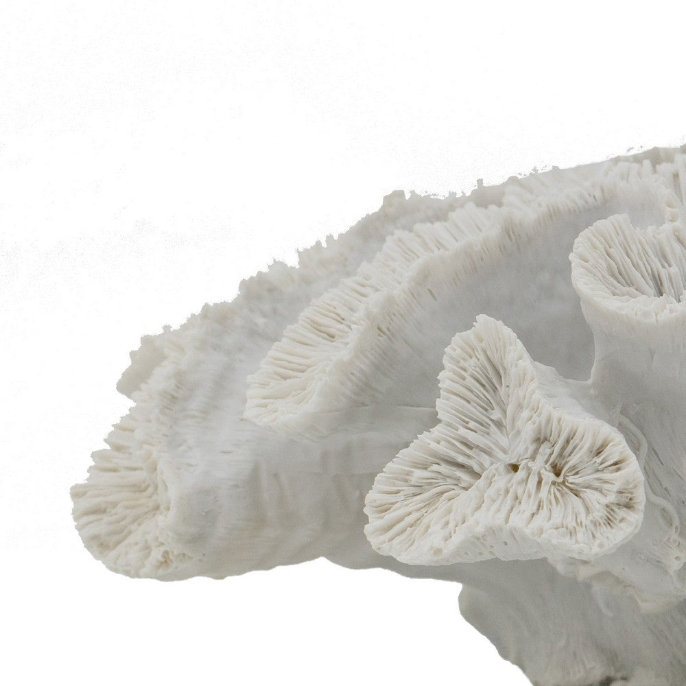 Decorative Coral Sculpture Tabletop Decor | 9" White Polyresin