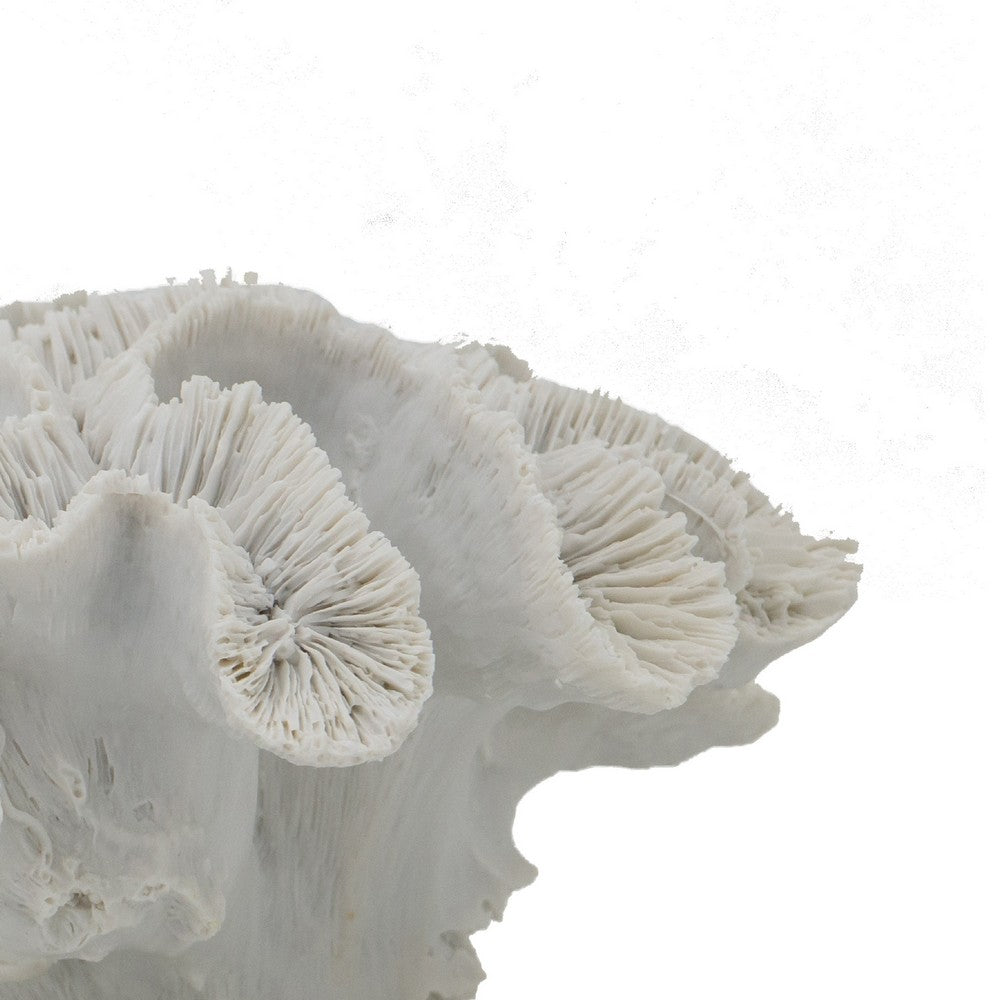 Decorative Coral Sculpture Tabletop Decor | 9" White Polyresin