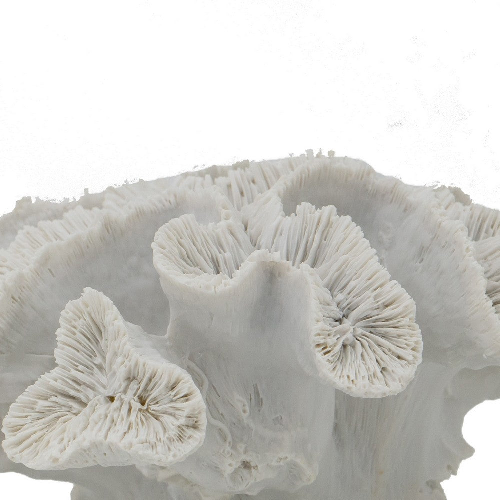 Decorative Coral Sculpture Tabletop Decor | 9" White Polyresin