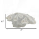 Decorative Coral Sculpture Tabletop Decor | 9" White Polyresin