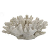 Coastal Decorative Faux Coral Sculpture | Realistic | 8" White Polyresin