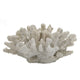 Coastal Decorative Faux Coral Sculpture | Realistic | 8" White Polyresin