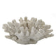 Coastal Decorative Faux Coral Sculpture | Realistic | 8" White Polyresin