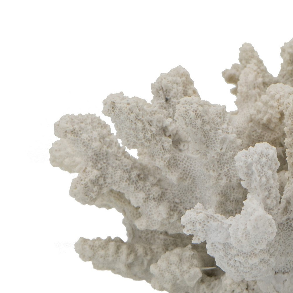 Coastal Decorative Faux Coral Sculpture | Realistic | 8" White Polyresin