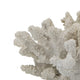 Coastal Decorative Faux Coral Sculpture | Realistic | 8" White Polyresin