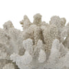 Coastal Decorative Faux Coral Sculpture | Realistic | 8" White Polyresin