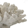 Coastal Decorative Faux Coral Sculpture | Realistic | 8" White Polyresin