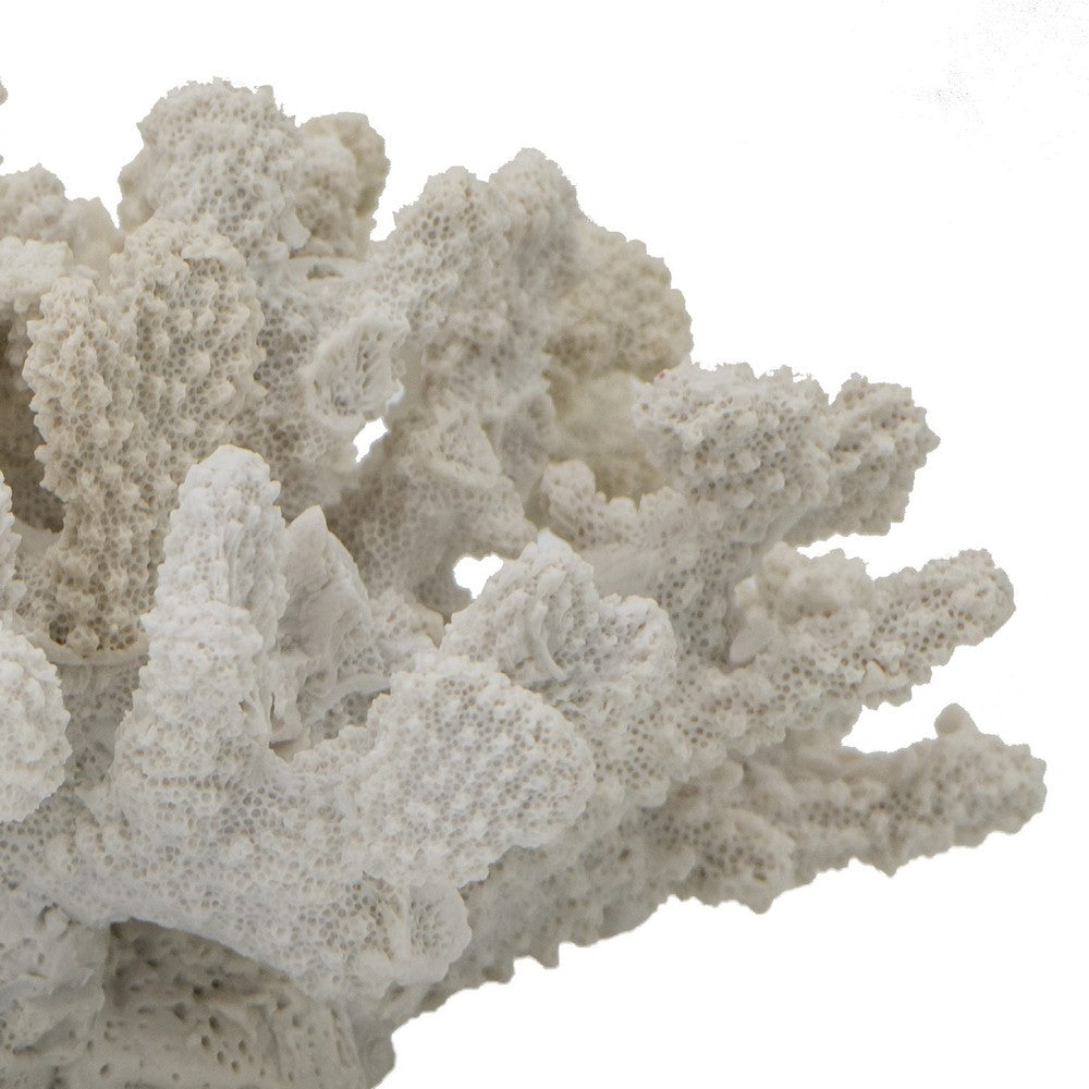 Coastal Decorative Faux Coral Sculpture | Realistic | 8" White Polyresin
