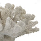 Coastal Decorative Faux Coral Sculpture | Realistic | 8" White Polyresin