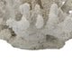 Coastal Decorative Faux Coral Sculpture | Realistic | 8" White Polyresin