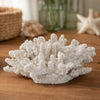 Coastal Decorative Faux Coral Sculpture | Realistic | 8" White Polyresin