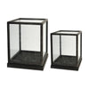 Jeny Display Box Set of 2 | Square Clear Glass with Black Fir Wood Frame