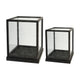 Jeny Display Box Set of 2 | Square Clear Glass with Black Fir Wood Frame