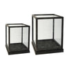 Jeny Display Box Set of 2 | Square Clear Glass with Black Fir Wood Frame