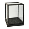 Jeny Display Box Set of 2 | Square Clear Glass with Black Fir Wood Frame