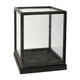 Jeny Display Box Set of 2 | Square Clear Glass with Black Fir Wood Frame