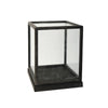 Jeny Display Box Set of 2 | Square Clear Glass with Black Fir Wood Frame