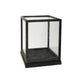 Jeny Display Box Set of 2 | Square Clear Glass with Black Fir Wood Frame