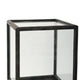 Jeny Display Box Set of 2 | Square Clear Glass with Black Fir Wood Frame