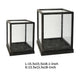 Jeny Display Box Set of 2 | Square Clear Glass with Black Fir Wood Frame