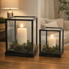 Jeny Display Box Set of 2 | Square Clear Glass with Black Fir Wood Frame
