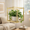 Hanging Open Plant Shelf with Chain | 20" Square Gold Iron Frame