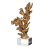 Coral Accent Tabletop Sculpture | Clear Glass Base | 13" Gold Resin