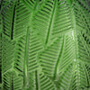 Dsy Floral Vase with Gold Rim | Embossed Fern Leaf | Green Glass 6"