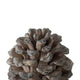Hazel Accent Decor | 11" Pine Cone Polyresin Sculpture | Gray Rustic Style