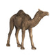 Egyptian Camel Accent Decor | Realistic 9" Sculpture | Polyresin Bronze