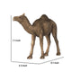 Egyptian Camel Accent Decor | Realistic 9" Sculpture | Polyresin Bronze