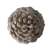 Hazel Pine Cone Accent Decor | Realistic 14" Sculpture Polyresin | Gray