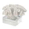 Davy Rising Faux Coral Accent | Clear Glass | Luxe White Polyresin 9"