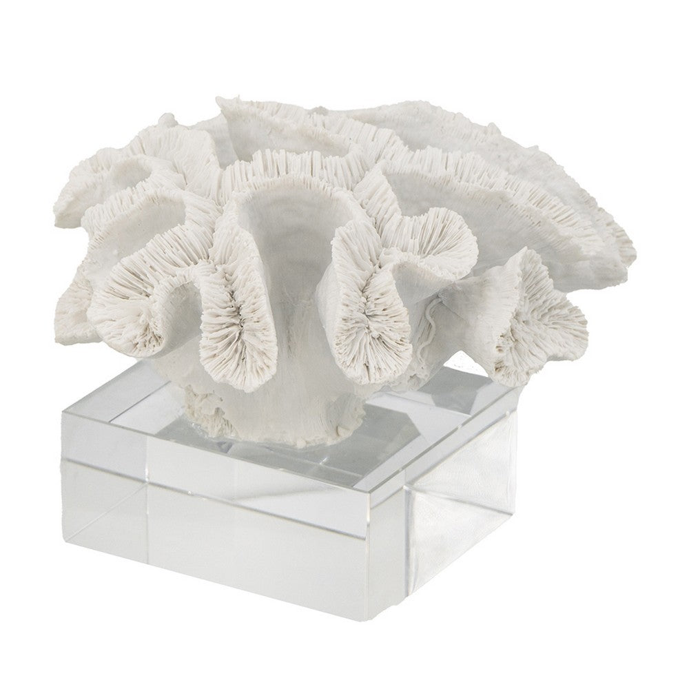 Davy Rising Faux Coral Accent | Clear Glass | Luxe White Polyresin 9"