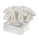 Davy Rising Faux Coral Accent | Clear Glass | Luxe White Polyresin 9"