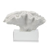 Davy Rising Faux Coral Accent | Clear Glass | Luxe White Polyresin 9"
