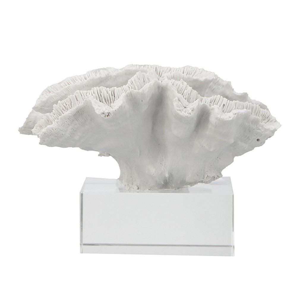 Davy Rising Faux Coral Accent | Clear Glass | Luxe White Polyresin 9"